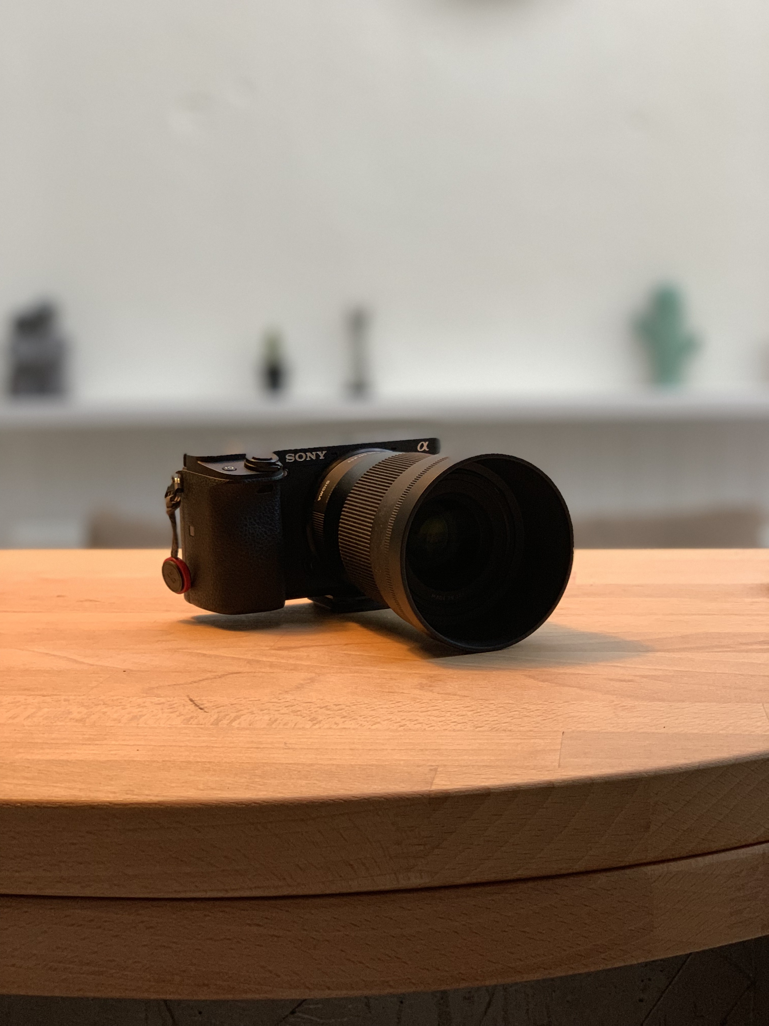 Sigma 30
