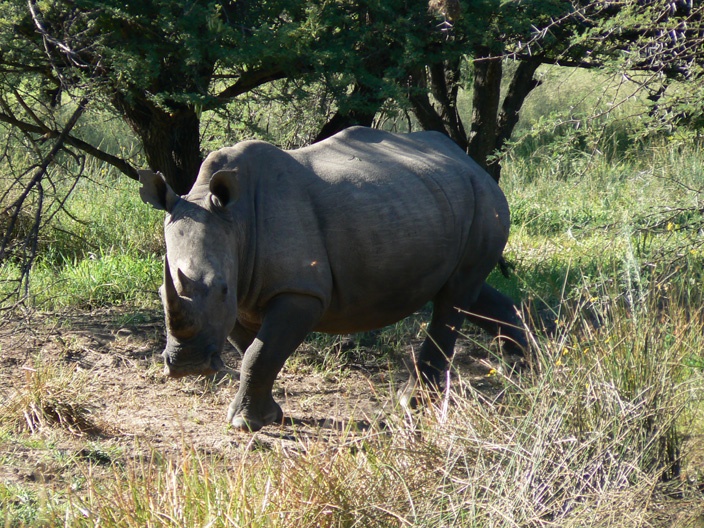 Afbeeldingslocatie: http://tweakers.net/ext/f/6e350b23cdb740c332516b7be88347d8/full.jpg