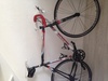 Colnago 1