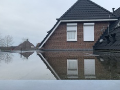 Afbeeldingslocatie: https://tweakers.net/ext/f/78dNDN8AxeycwQlkoawgoQtC/medium.jpg