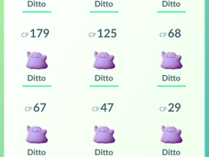 Ditto
