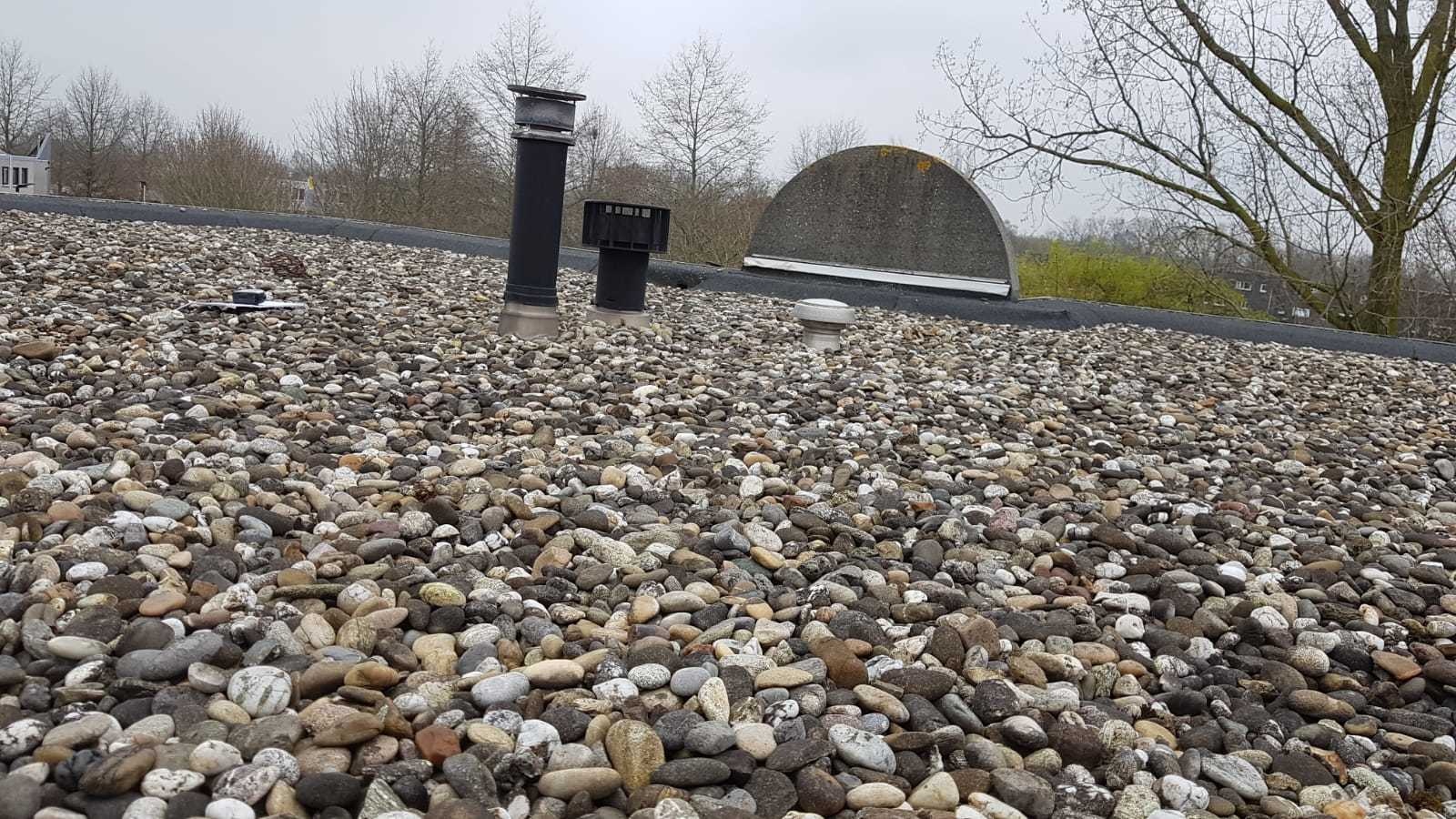 Afbeeldingslocatie: https://tweakers.net/ext/f/7iQ7hTbmdR7T5WkGFZfwHF0Q/full.jpg