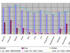 Verbruik 2012 (januari-december)