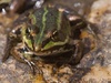 Afbeeldingslocatie: http://tweakers.net/ext/f/7kdWDLGqE7dQDhcgv4OROWNa/thumb.jpg