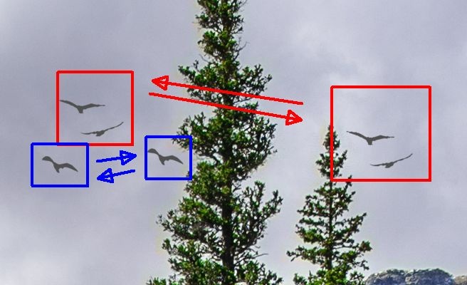 Afbeeldingslocatie: https://tweakers.net/ext/f/7pFuiaYdmPlp0gWw0Lqf3O6b/full.jpg