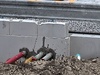 Afbeeldingslocatie: https://tweakers.net/ext/f/7uOA3WXiLAp0OgAOPZAdYcQ7/thumb.jpg