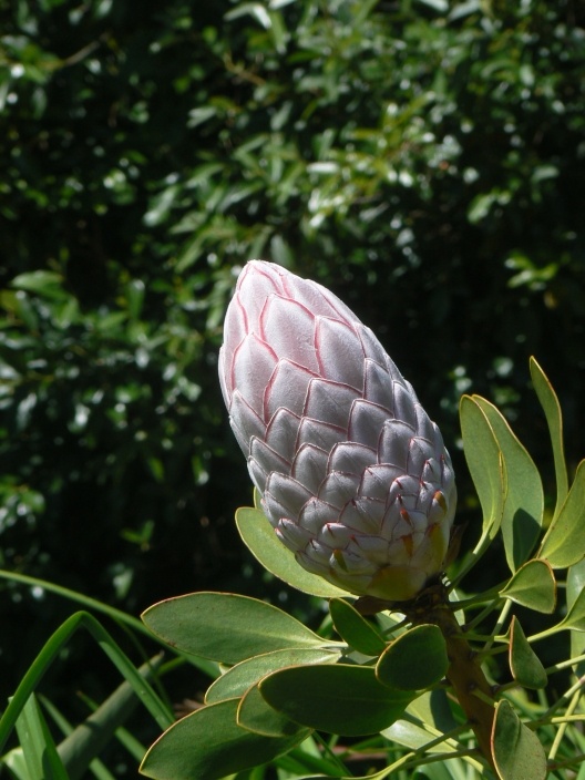 Afbeeldingslocatie: http://tweakers.net/ext/f/8116d7d8985ca6ebd1a150cc2beec42f/full.jpg