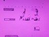 Afbeeldingslocatie: https://tweakers.net/ext/f/81wg68cd5riKvSCpF9AUU2Dy/thumb.jpg