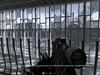 Afbeeldingslocatie: http://tweakers.net/ext/f/84b7f2cfe126bb4c05aa8c91cf0781e1/thumb.jpg