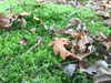 Afbeeldingslocatie: http://tweakers.net/ext/f/8D30BM0PZ4Lh1T9t2OO3nRzM/thumb.jpg