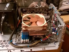 82