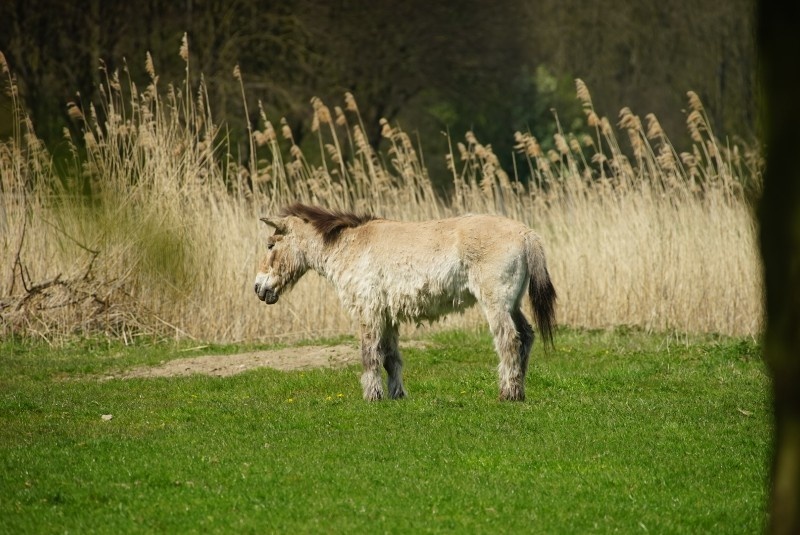 Afbeeldingslocatie: https://tweakers.net/ext/f/8aHUeEvXMW6JtKYnPiRPE8Vr/full.jpg