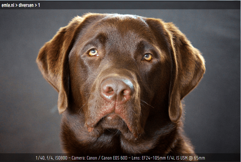 Afbeeldingslocatie: http://tweakers.net/ext/f/8rMqYYwviAzdFacvQwdAi3x5/full.png