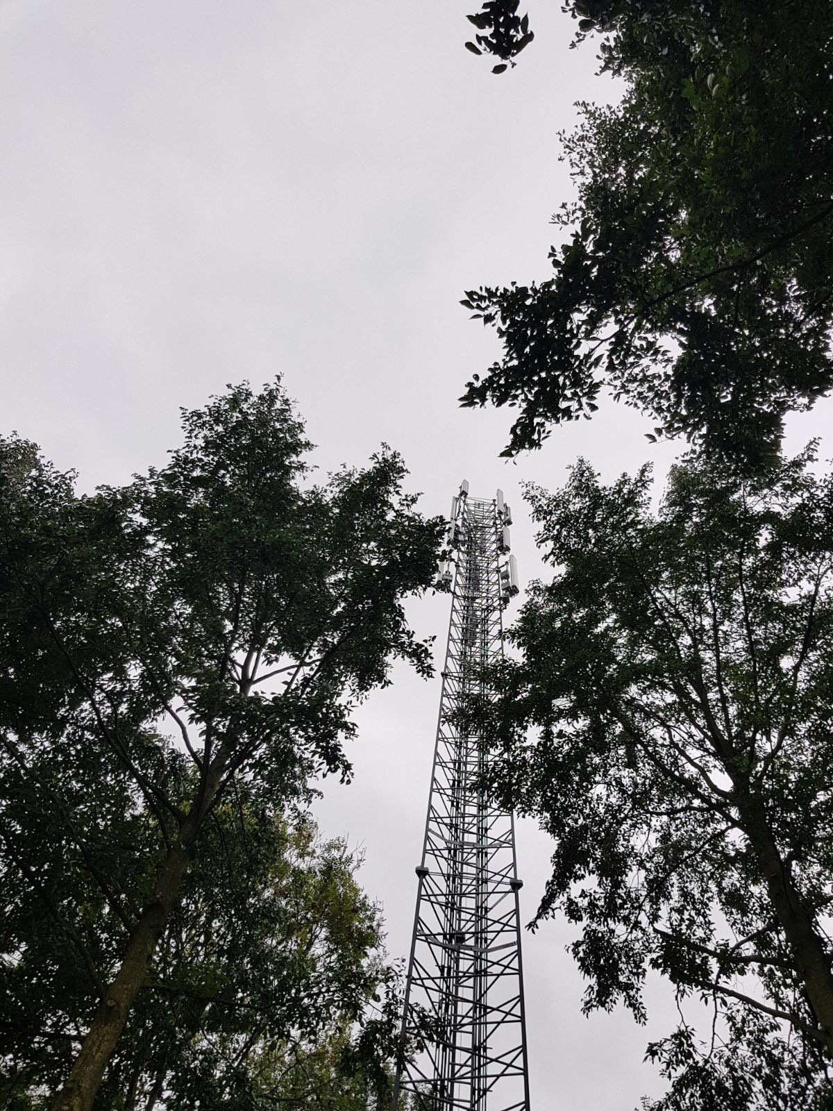Foto mast Dodewaard Foto mast Dodewaard