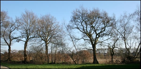 Afbeeldingslocatie: http://tweakers.net/ext/f/9cfacb9a5ab1bbad42db8a7324161891/full.jpg
