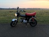 Afbeeldingslocatie: https://tweakers.net/ext/f/A5wtx70dJdgpzwiL425tL7Xg/thumb.jpg