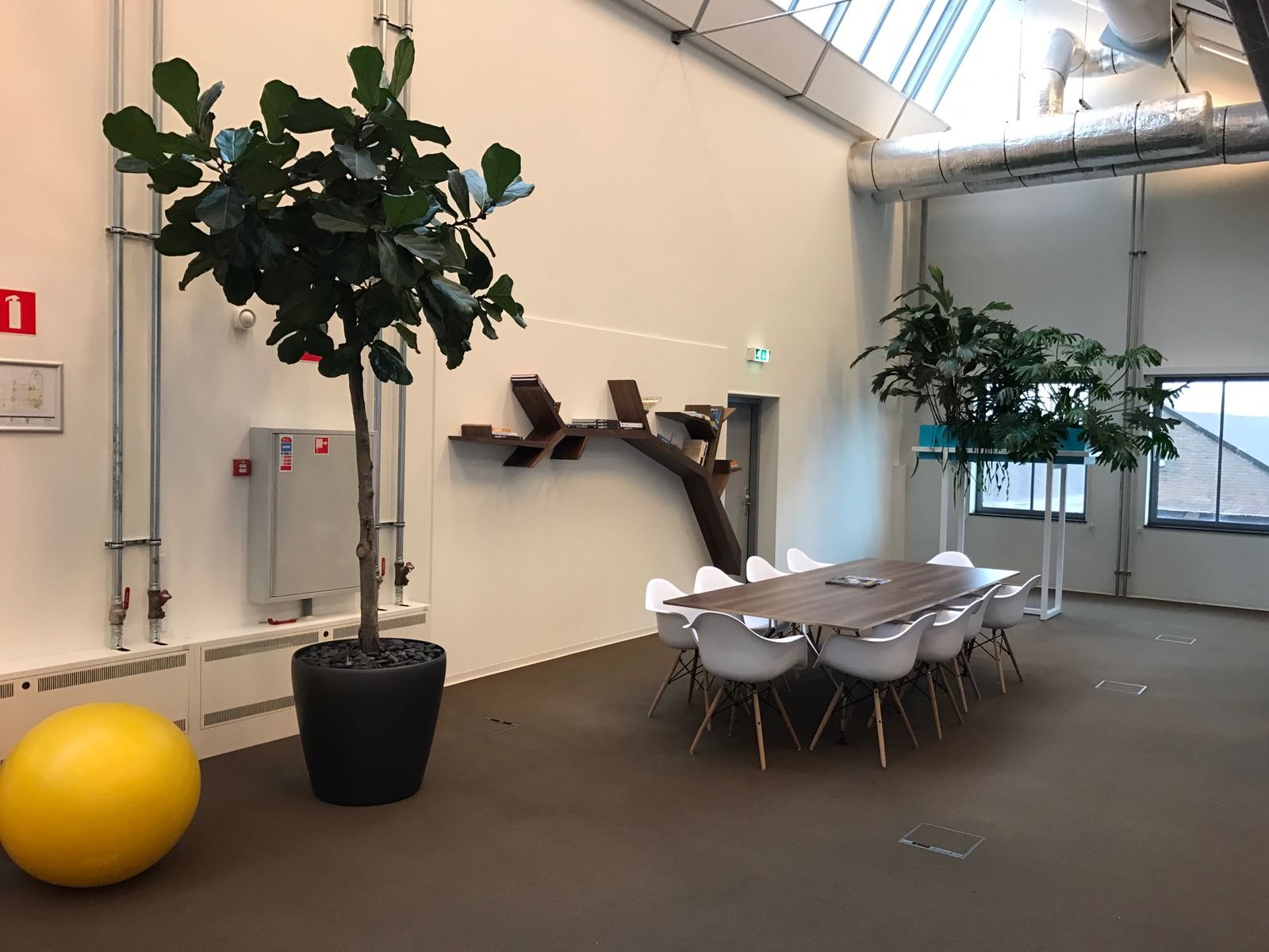 Afbeeldingslocatie: https://tweakers.net/ext/f/AYkJA6r5xKjet724pxmiJ0a3/full.jpg