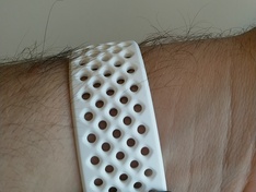 Fitbit