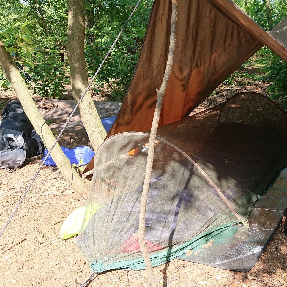 Afbeeldingslocatie: https://tweakers.net/ext/f/Ag4sCdGvF2O3tmyF2M4IblnQ/full.jpg