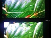 http://tweakers.net/ext/f/BVV9QM5u532FxZeCTH55wQY1/thumb.jpg