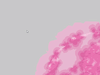 Afbeeldingslocatie: https://tweakers.net/ext/f/BlOPtPcoqD2smi4kBIQ0s2Dh/thumb.png