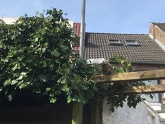 Afbeeldingslocatie: https://tweakers.net/ext/f/CWUTX1Ob2yaNG53zdy2gLrKL/medium.jpg