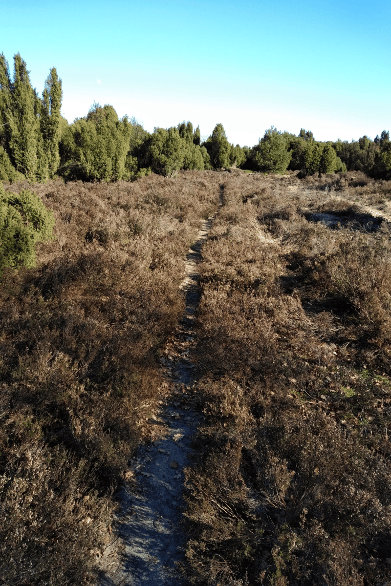 Afbeeldingslocatie: https://tweakers.net/ext/f/CX6G5lYEn0gTXt3wensExHu0/full.png