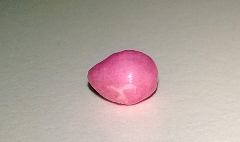 Macro with Nokia Cam