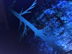 Afbeeldingslocatie: https://tweakers.net/ext/f/CxrGTjhdi2NGU70MkbUaup2n/medium.jpg