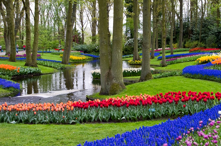 Afbeeldingslocatie: http://tweakers.net/ext/f/D7EG5Cj1lrBXLetcaJQkzhkt/full.jpg