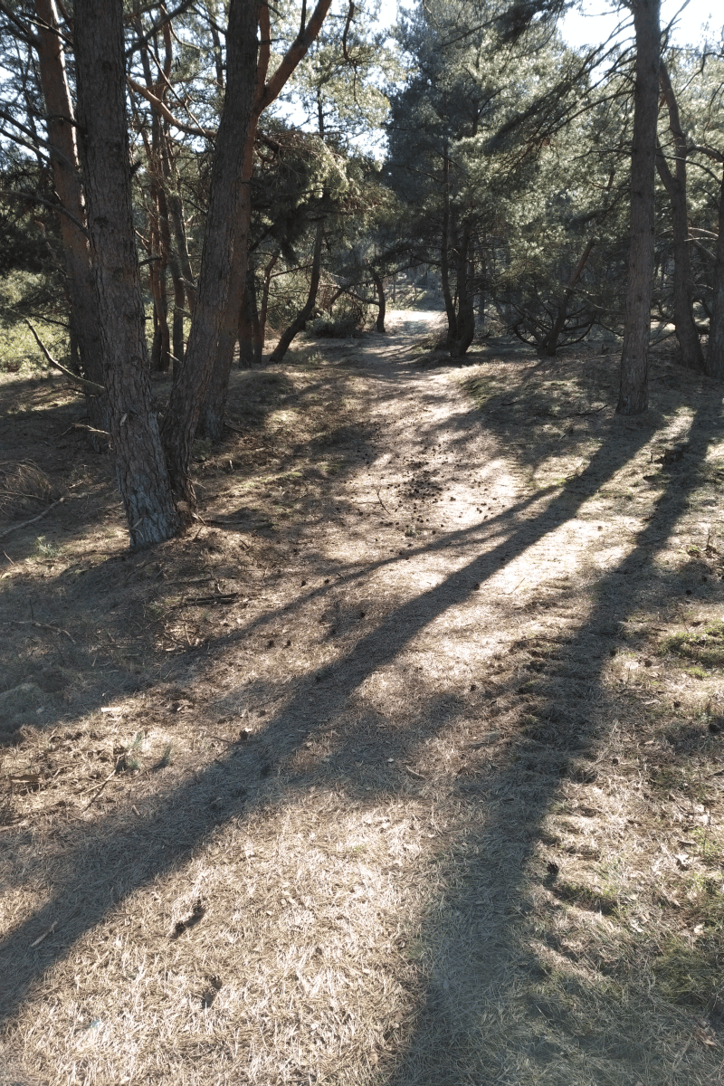 Afbeeldingslocatie: https://tweakers.net/ext/f/DHaLzoILT4iUNOz9Dqo73465/full.png