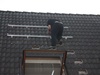 Afbeeldingslocatie: http://tweakers.net/ext/f/DangN921BviGfoKFfkALASu7/thumb.jpg