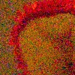 http://tweakers.net/ext/f/DhpXUkouq6QFB9TBs2tuBNkV/full.jpg http://tweakers.net/ext/f/DhpXUkouq6QFB9TBs2tuBNkV/full.jpg