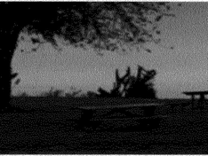 zwart-wit foto fragment resultaat controlcenter Gray error diffusion
