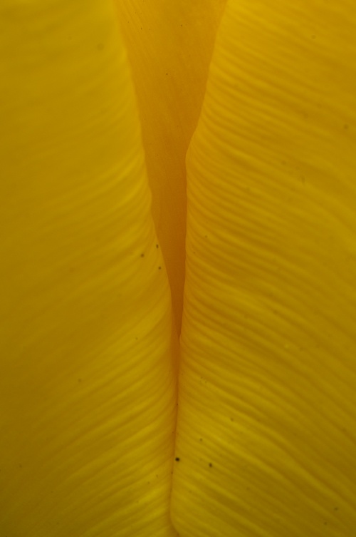 Afbeeldingslocatie: http://tweakers.net/ext/f/DrV3Ku4nF0p43H9VOHy2qgSA/full.jpg