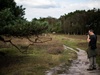 Afbeeldingslocatie: https://tweakers.net/ext/f/Dw6PHz691UaihxgJATbRTA1x/thumb.jpg
