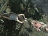 http://tweakers.net/ext/f/EMMD5hTYs7Qvx3zpn4dl48Pg/thumb.jpg
