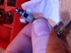 Aerotank coil rewick 3