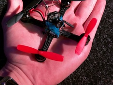 PepperFiish PepperFiish