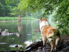 Afbeeldingslocatie: http://tweakers.net/ext/f/EqVWfGjB6PJmKQm5qpcG4Mcs/medium.jpg