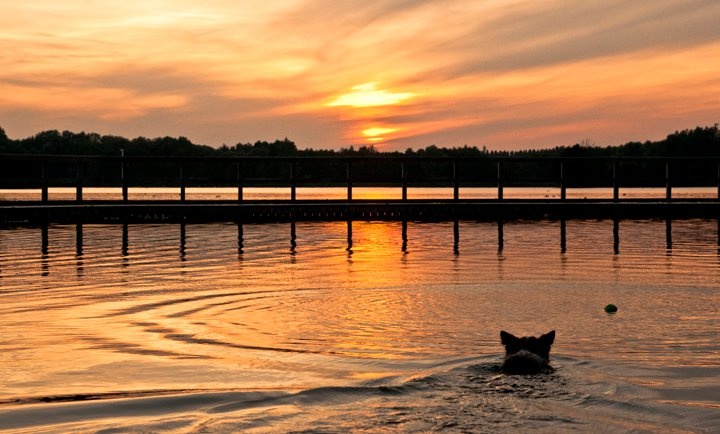 Afbeeldingslocatie: http://tweakers.net/ext/f/Eyz42SBywZh75cDeMF2TOlQx/full.jpg