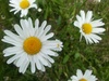 http://tweakers.net/ext/f/F1yH4yyUQJpqGY0Ob368Wans/thumb.jpg
