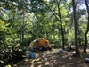 Afbeeldingslocatie: https://tweakers.net/ext/f/F82Fn0ZFWJheVsG86xJS6w5M/thumb.jpg