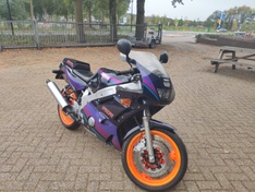 FZR 600