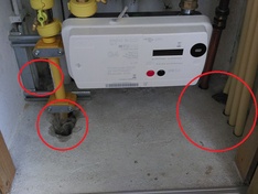 Afbeeldingslocatie: https://tweakers.net/ext/f/FVbF4X8yGbdxOt4r916sxNDQ/medium.jpg
