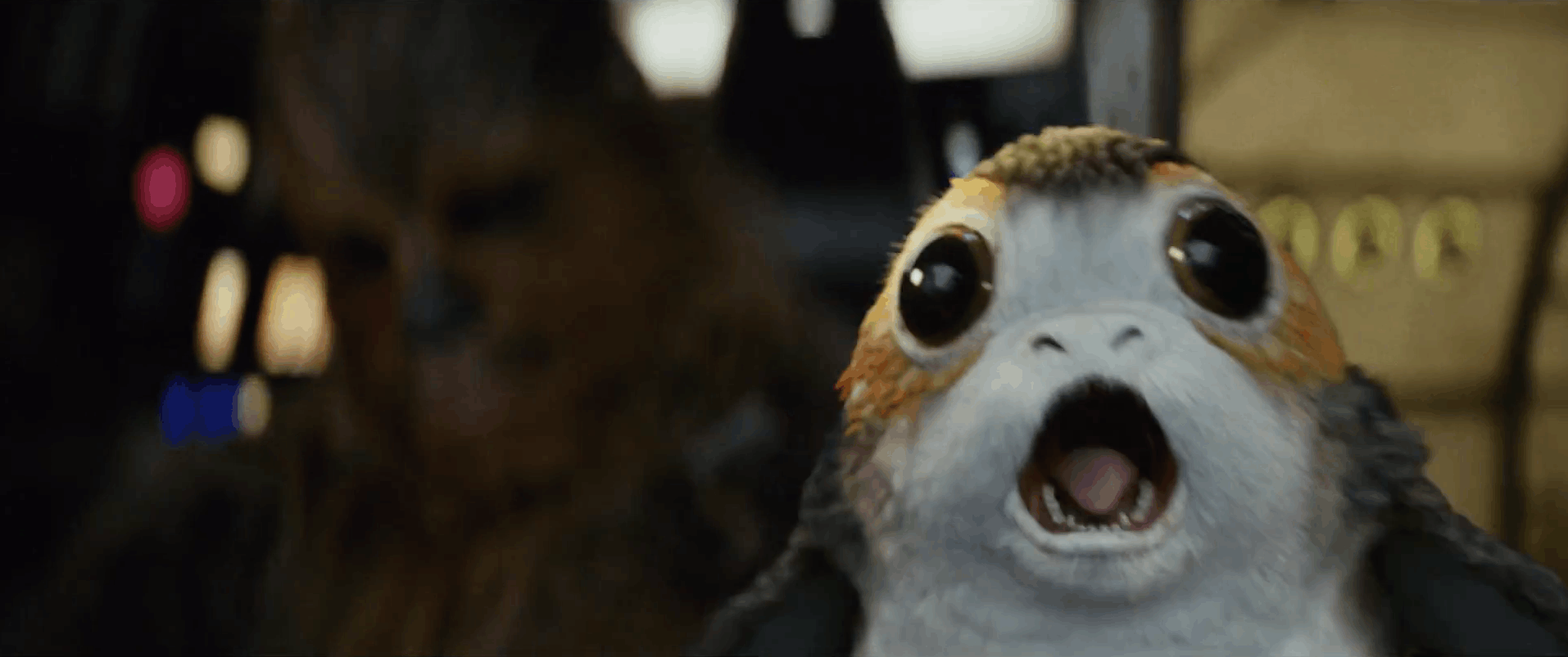 Gevolgd door een shot van Chewie en een Porg in de cock-pit, beiden lijken niet heel blij te zijn me