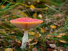 Afbeeldingslocatie: http://tweakers.net/ext/f/GO41QfG9mqCrVfxEZ6qfM0QA/medium.jpg