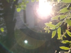Onepus 5 foto 1