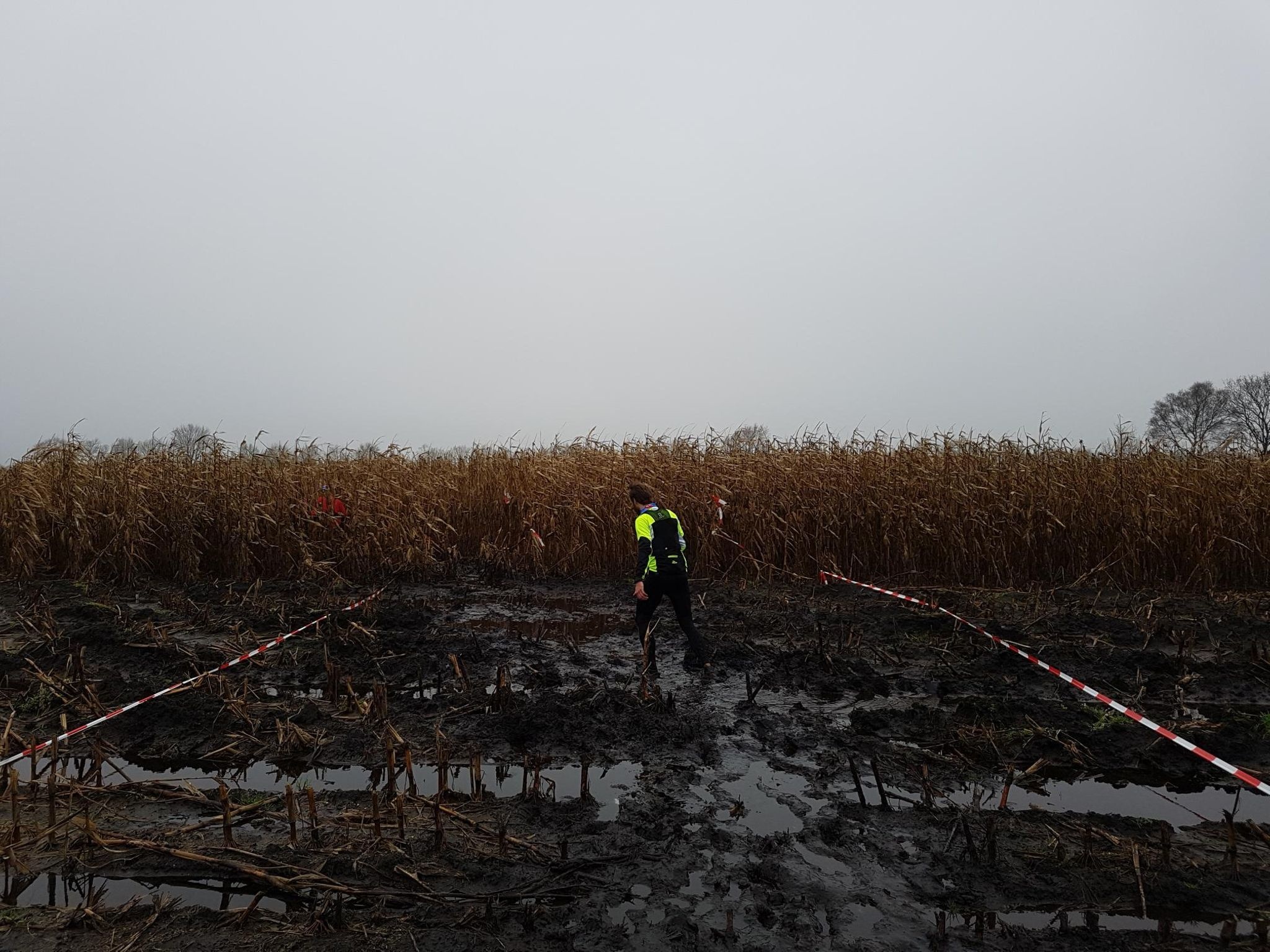 Afbeeldingslocatie: https://tweakers.net/ext/f/GrU3yMaK83pfzYjHBFYBPmC9/full.jpg