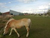 Foto gemaakt met de SGN